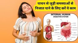 World Digestive Health Day 2025: बार-बार गड़बड़ा जाता है पाचन तंत्र तो डेली रूटीन में इन 5 आदतों को कर लें शामिल, गट हेल्थ भी हो जाएगी बेहतर
