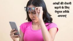 आंखों की रोशनी कम हो रही है और आस-पास का सब कुछ दिखता है धुंधला, इन 6 फूड्स को खाये, बाज़ की तरह तेज़ होगी रोशनी