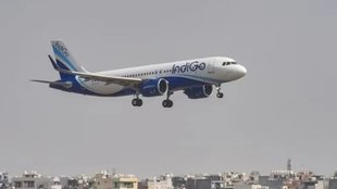 indigo, turkey, pakistan