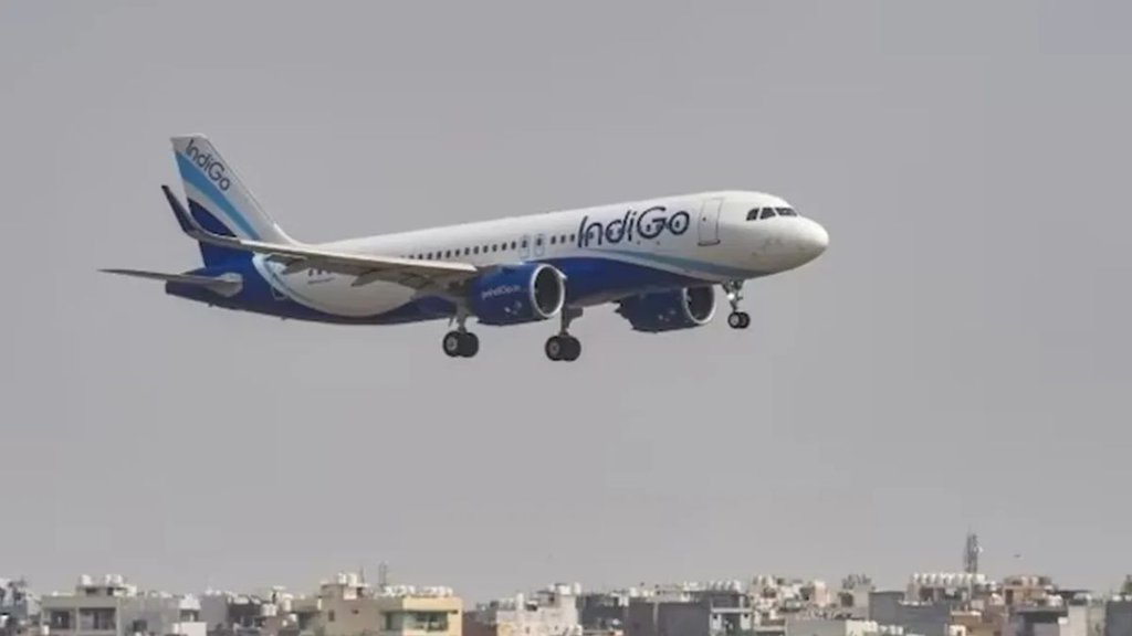 indigo, turkey, pakistan