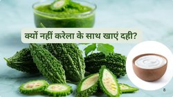 करेला और दही क्यों हैं विरुद्ध आहार, आयुर्वेद में क्यों है इसकी मनाही, जान लीजिए इसकी असलियत