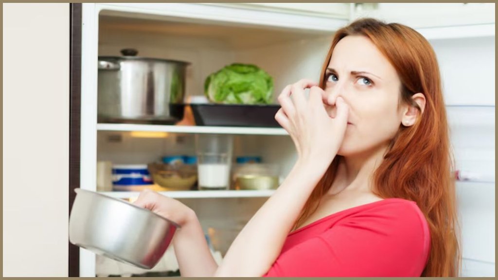keep food fresh during summers । food fresh during summers । kitchen tips