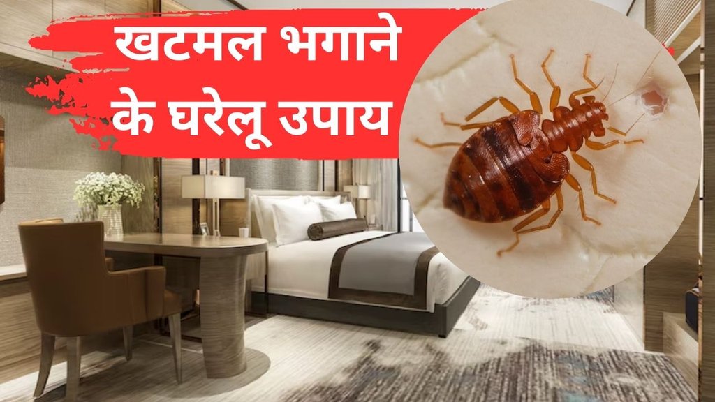 How to get rid of bed bugs | khatmal kaise bhagaye | khatmal bhagane ke gharelu upay