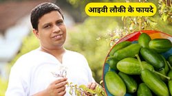 गर्मी में इस सब्जी को खाने से दूर होंगी 5 समस्याएं, Blood Sugar भी रहेगा कंट्रोल, आचार्य बालकृष्ण से जानें फायदे