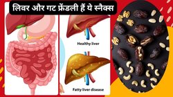 इन 4 बेस्ट स्नैक्स को रोज़ खाएंगे तो लिवर होगा क्लीन, गट हेल्थ में आ जाएगी नई जान, हार्वर्ड के डॉक्टर ने दिए टिप्स
