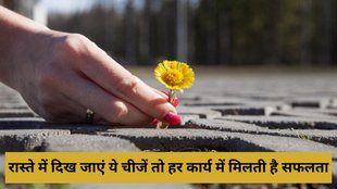 Shakun Shastra, lucky things found on road, sadak pe padi bhagya badalne wali shubh cheej, सड़क पर पड़ी लकी चीज, रास्ते पर पड़ा सिक्का या नोट का मतलब, रास्ते पर अनाज की बालियां देखने का मतलब, रास्ते में फूल या फल देखने का मतलब, रास्ते में मोर पंख देखने का मतलब
