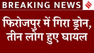 India Pakistan Conflict: Punjab के Ferozepur में गिरा पाकिस्तानी ड्रोन, एक ही परिवार के 3 लोग घायल
