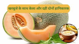 water content,vitamins,summer,minerals,melon