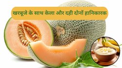गर्मी में बॉडी के लिए अमृत है खरबूजा,रोज़ खाएं बॉडी रहेगी तंदुरुस्त, लेकिन इन 4 फूड्स के साथ खाएंगे तो ये बन जाएगा ज़हर