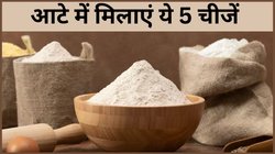 गेहूं के आटे में मिलाएं ये 5 चीजें, स्वाद होगा दोगुना; तवे पर झट से फूलेगी रोटी