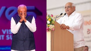 Gujarat, lion population, lion population in gujarat,