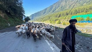 Kashmir tourism revival, Pahalgam terror attack,