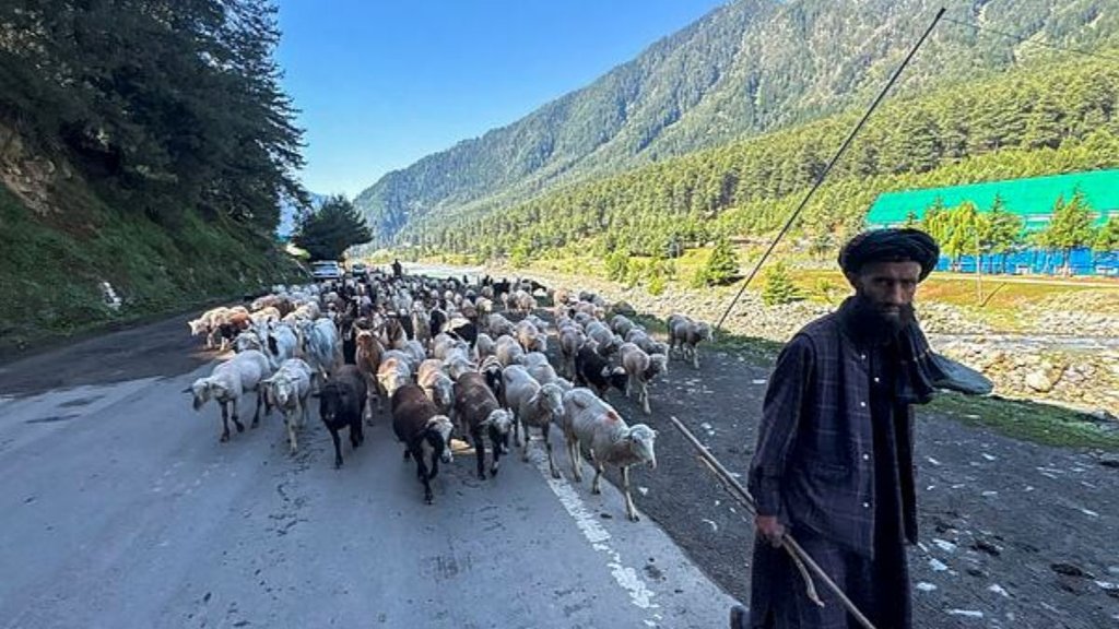 Kashmir tourism revival, Pahalgam terror attack,