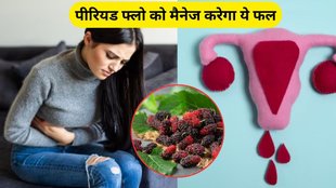 natural relief from period pain to menopause symptoms, benefits of mulberry, mulberry, mulberry for women heavy periods, mulberry for cramps, mulberry good for women