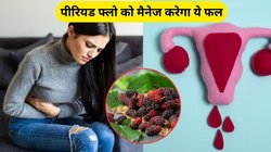 हैवी पीरियड और ऐंठन से राहत देगा ये फल, सेहत को भी मिलेंगे कमाल के फायदे, एक्सपर्ट से जानिए कैसे करें इस्तेमाल