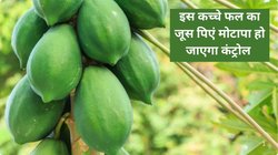 Weight Loss Drink: गर्मी में कच्चे पपीते का जूस करेगा बीमारियों से बचाव, बॉडी हो जाएगी डिटॉक्स, वजन घटाना भी होगा आसान