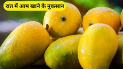 क्या आप भी रात में आम खाते हैं? इन 5 समस्याओं के हो जाएंगे शिकार, एक्सपर्ट से जानिए रात में आम खाने के नुकसान