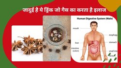 Star Anise Water: रोजाना चक्रफूल के पानी का सेवन खाली पेट करने पर सेहत पर कैसा होता है असर, डॉक्टर से जानिए