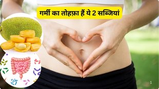 gut health, food for gut health, food for gut health during summer, gut health in summer, moringa, jackfruit, bael in summer,