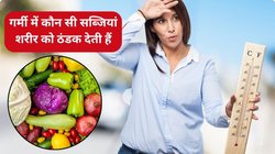 Summer Vegetables: गर्मी की सबसे ठंडी हैं ये 4 सब्जियां, तपती गर्मी में बॉडी को रखेंगी कूल, समर में नहीं पड़ेंगे बीमार