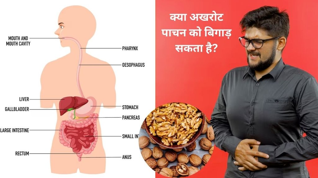 wallnut health benefits, how to consume wallnut, walnut side effect,Is it safe to eat walnuts everyday,Do walnuts affect your stomach,