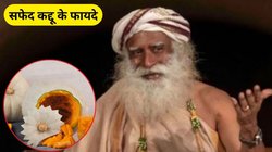 गर्मी में इस सफेद सब्जी का जूस सेहत के लिए है चमत्कारी, बॉडी हो जाएगी डिटॉक्स, सद्गुरु ने बताए फायदे