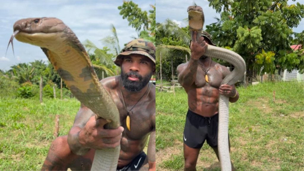 Snake Video| Viral Video| Animal Video