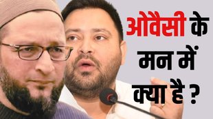 bihar assembly elections 2025, Bihar assembly polls, Bihar seemanchal, AIMIM Bihar Assembly elections