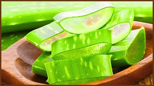Aloe vera, Skin Care Routine , Morning Skin Care Routine