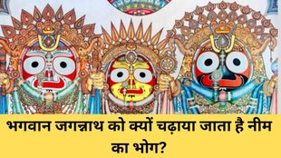 Why neem is offered to Lord Jagannath, Significance of neem in Jagannath temple rituals, Jagannath neem offering meaning, Neem tree and Lord Jagannath connection, Why Jagannath idols are made from neem wood, Neem in Jagannath Rath Yatra rituals, Spiritual meaning of offering neem to Jagannath, Role of neem in Nabakalebara tradition, Why neem is sacred in Jagannath worship, Jagannath puja and neem importance