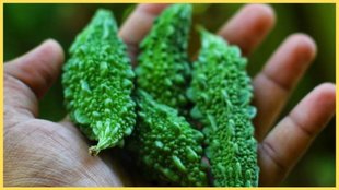 Karele ki Kadwahat Kaise Kam Kare, make Bitter Gourd less bitter, How to remove bitterness from Bittergourd