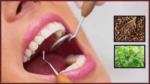Clove , tulsi leaf , bad breath