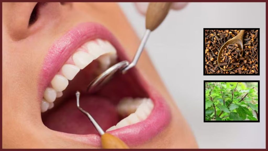 Clove , tulsi leaf , bad breath