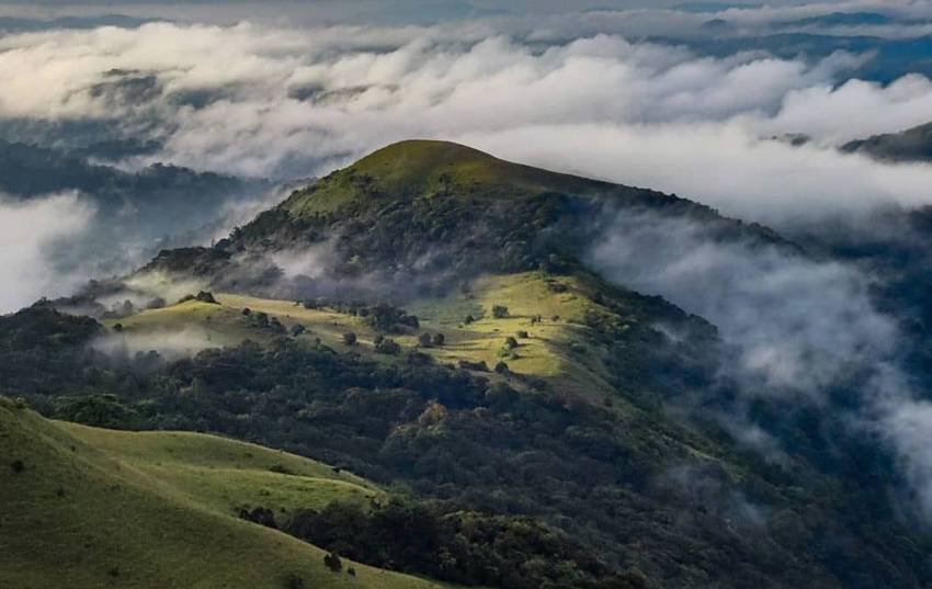 Coorg