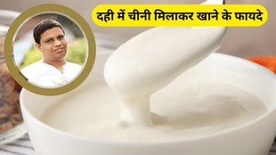 Curd and Sugar