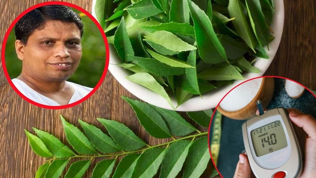 Curry patte, Curry Leaves Benefits And Uses, curry leaves for weight loss, curry leaves for cholesterol, curry leaves face pack