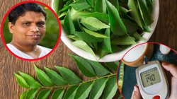 बासी मुंह चबा लें 4-5 करी पत्ते, Blood Sugar समेत इन 5 समस्याओं से भी मिल जाएगा छुटकारा, आचार्य बालकृष्ण से जानिए फायदे