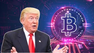 Donald Trump Net Worth, Donald Trump Crypto earning, crypto