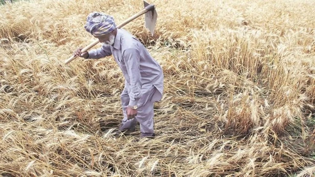 Farmers Protest, Government Policy, Farm Laws, MSP Guarantee