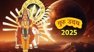 Guru gochar 2025, guru in mithun, gutu asta 2025, guru asta horoscpe, guru uday 2025, jupiter uday 2025, guru gochar, jupiter transit in taurus, गुरु ग्रह उदित, गुरु उदय 2025. july horoscope 2025