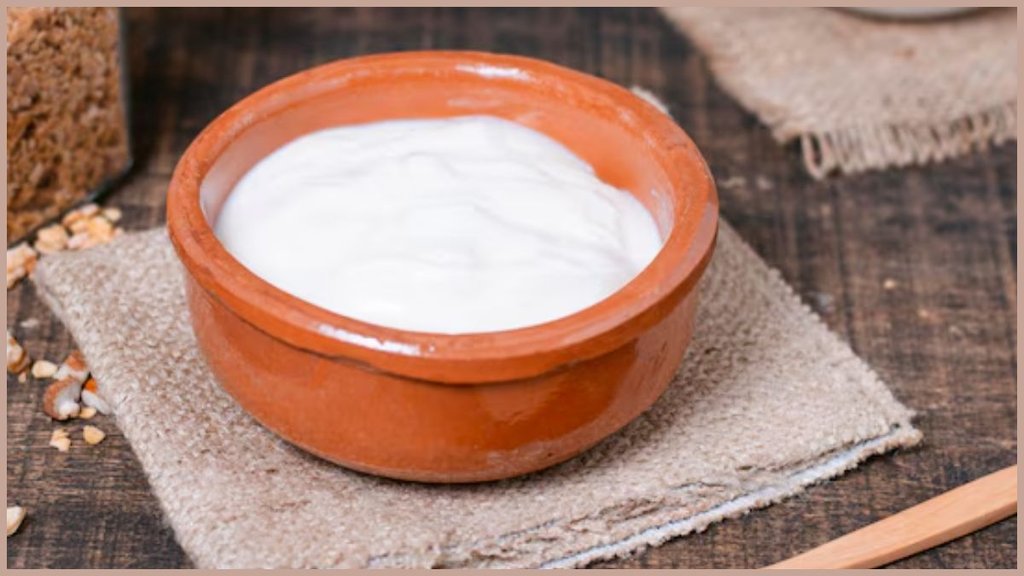 How to make curd at home , Homemade curd recipe