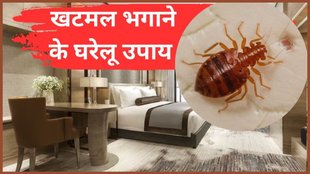 How to remove bed bugs , khatmal ko kaise bhagaye, khatmal bhagane ke gharelu upay