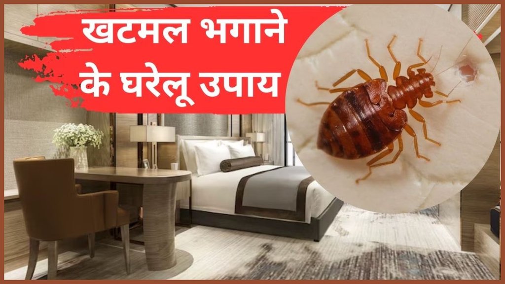 How to remove bed bugs , khatmal ko kaise bhagaye, khatmal bhagane ke gharelu upay