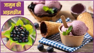 Jamun Ice Cream, Easy Jamun Ice Cream Recipe, Jamun Ice Cream Recipe