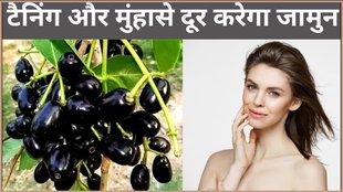 Jamun Seeds Powder, Jamun Seeds Powder Benefits, Jamun Seeds Powder for face