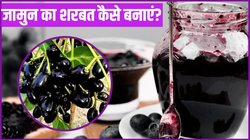 गर्मी में मिलेगी ठंडक और सेहत का डबल डोज, घर पर ही बनाएं जामुन का टेस्टी शरबत