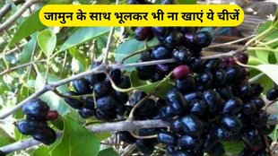 Jamun Ka Blood Sugar Par Asar, Jamun Khane Ka Sahi Samay, Jamun side effects, foods to avoid with Java Plum, Jamun ke saath kya nahi khana chahiye, benefits of jamun