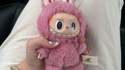 Labubu Dolls: कहां से आया ‘भूतिया हंसी’ वाली गुड़िया का ट्रेंड, क्यों लाबुबू डॉल के दीवाने हो रहे लोग, खरीदारी में खर्च कर रहे हजारों