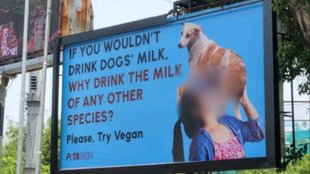 PETA India| PETA India New Ad| PETA India Controversy