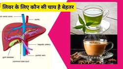 बॉडी में 500 से ज्यादा काम करता है लिवर, Liver हेल्दी रखने के लिए ग्रीन टी पिएं या फिर दूध की चाय, जानिए कैसे रहेगा जिगर हेल्दी
